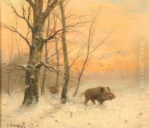 Wildschweine Inwinterlicher Waldlandschaft