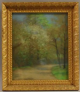 The Shady Path