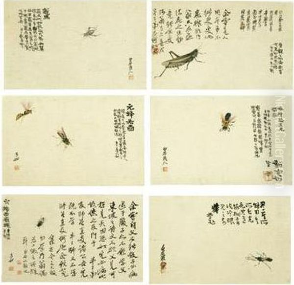 Insects Oil Painting by Qi Liangkun