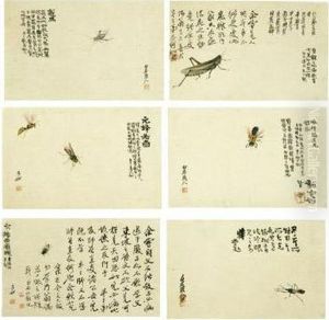 Insects