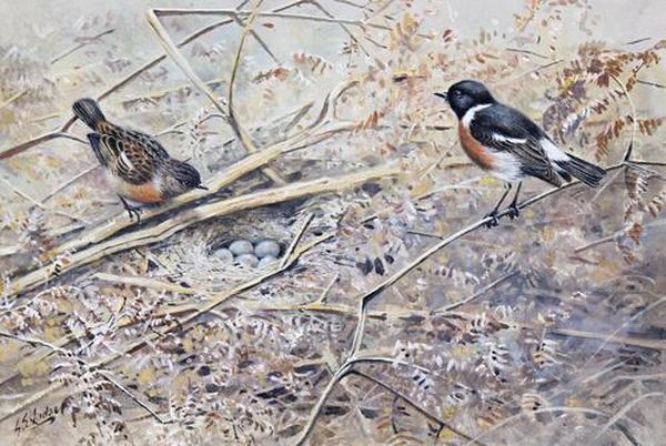 Stonechats Oil Painting by George Edward Lodge