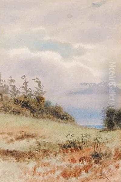 Olympics From Beacon Hill Oil Painting by Samuel Maclure