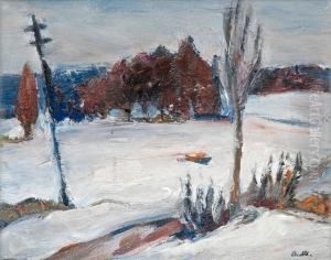 Winter Landscape