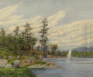Afternoon Sail