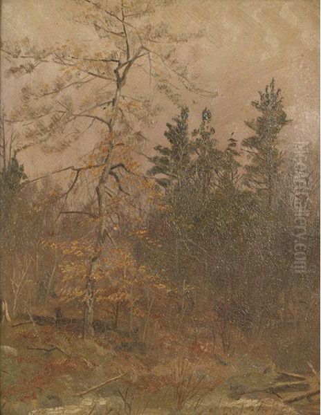 Autumn Clearing At Dusk Oil Painting by Thomas Mower Martin