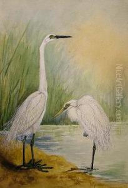 Herons On Ariverbank Oil Painting by Lilian Medland