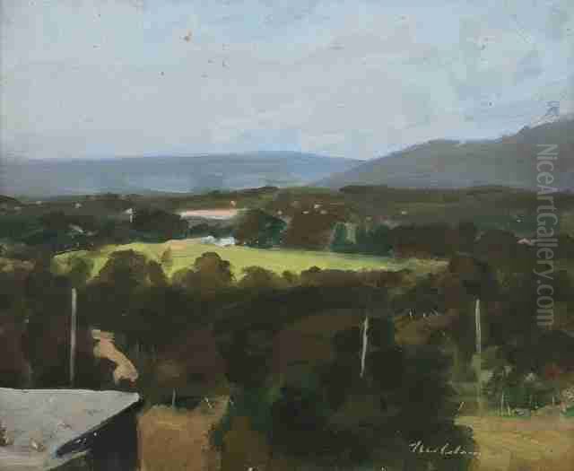 Olinda Landscape Oil Painting by Duncan Max Meldrum