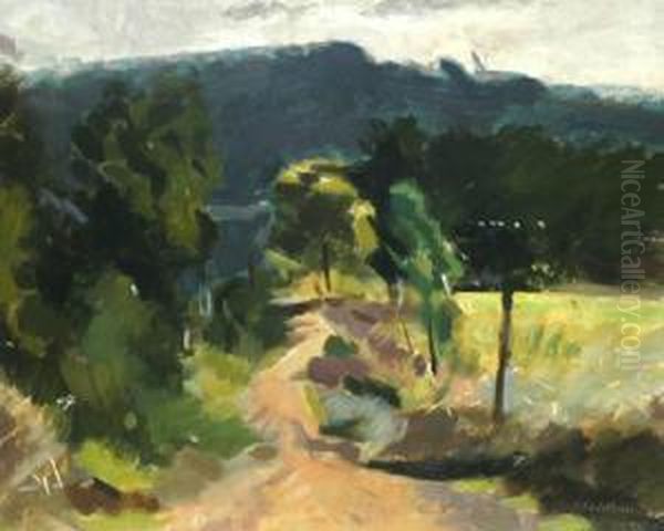 Mount Dandenong Olinda Victoria Oil Painting by Duncan Max Meldrum