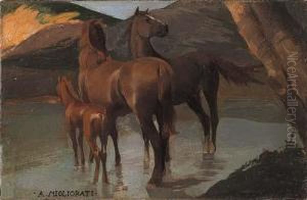 Cavalli Al Guado Oil Painting by Adalberto Migliorati