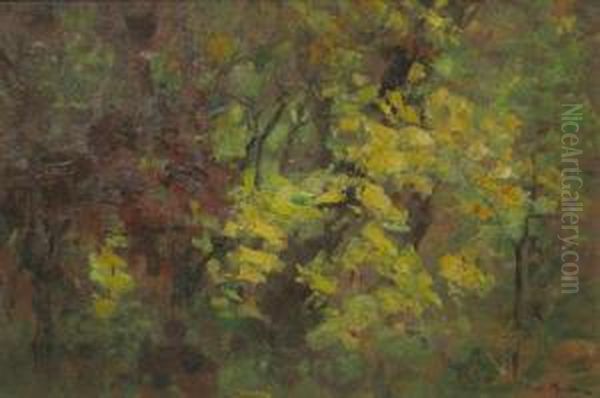 Padure Oil Painting by Paul Molda