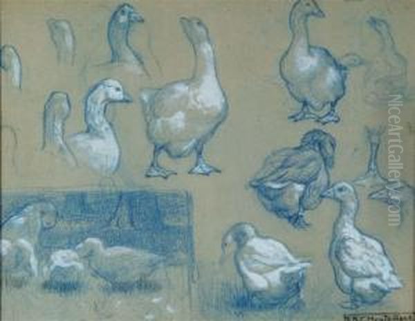 Study Of Geese Oil Painting by Edward Brice Stanley Montefiore