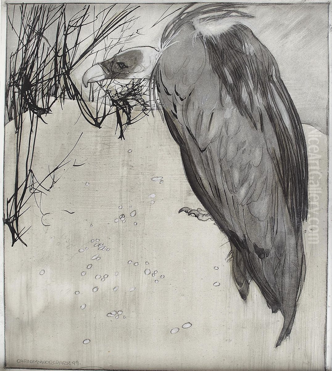 The Vulture Oil Painting by Carlton Moore-Park