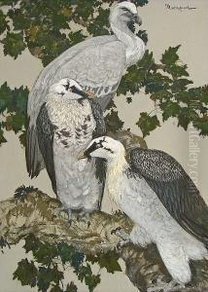 King Vultures And Bearded Vultures: Two Oil Painting by Carlton Moore-Park