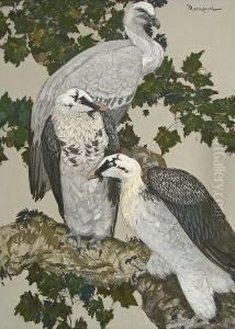 King Vultures And Bearded Vultures: Two