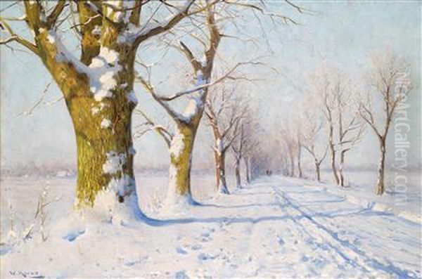 A Sunny Winter