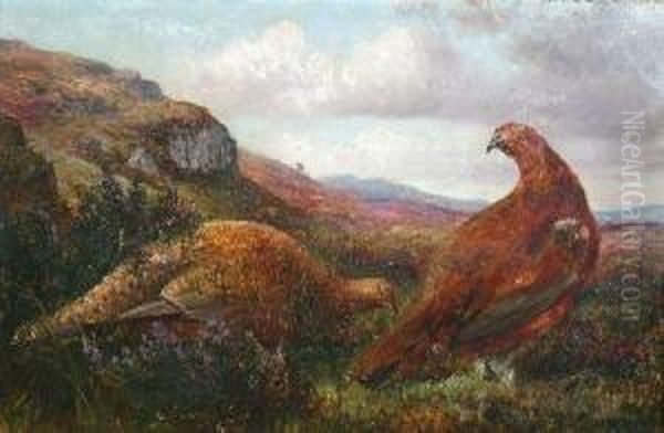 Owre The Muir, Amang The Heather Oil Painting by J Morison