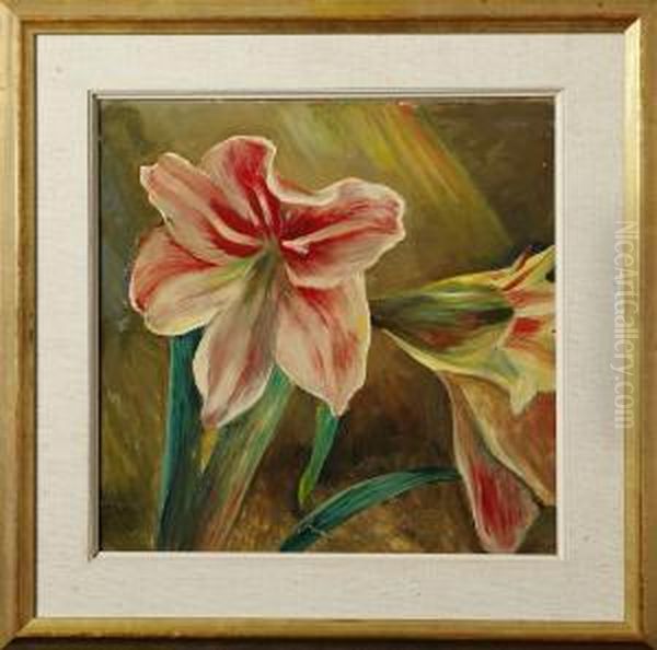 Amaryllis Oil Painting by Hans Norsbo