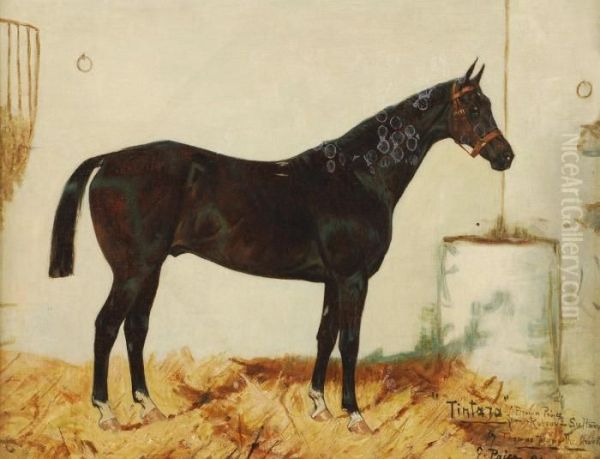 Tintara Oil Painting by George Paice