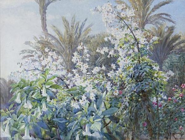 Dahlia Imperialis Oil Painting by Beatrice Emma Parsons