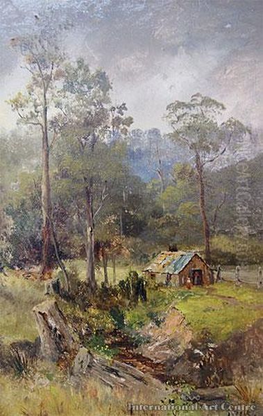 Fern Tree Gully Near Melbounre Oil Painting by James Peele