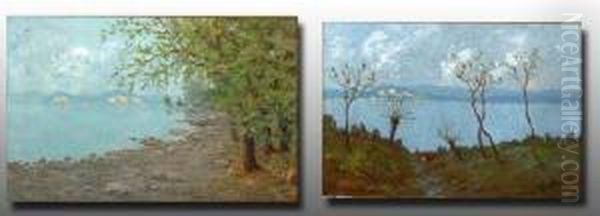 Lago Maggiore Oil Painting by Antonio Pollini