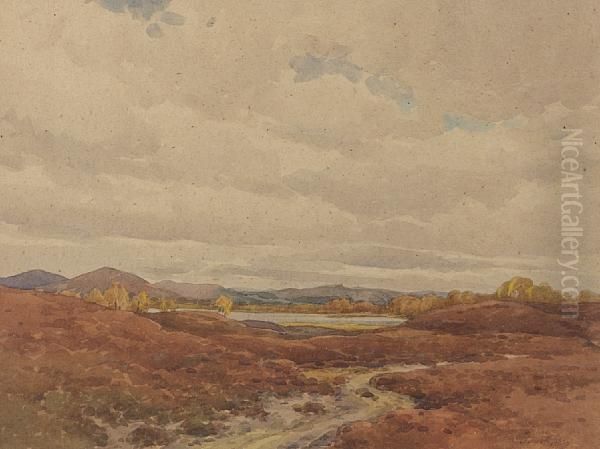 The Hills Of Assynt Oil Painting by Samuel Pop