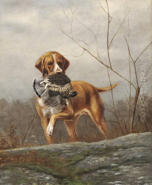 Hunting Dog With A Grouse Oil Painting by Alexander Pope