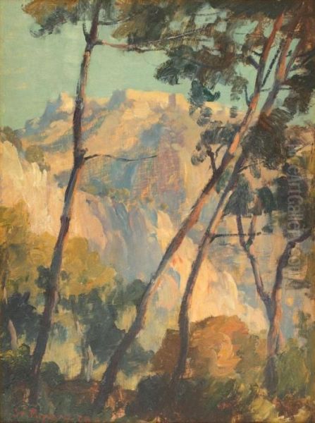 Vedere Spre Cetatea Rasnovului Oil Painting by Stefan Popescu