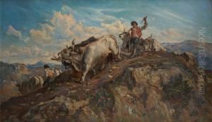 Le Sillon En Montagne