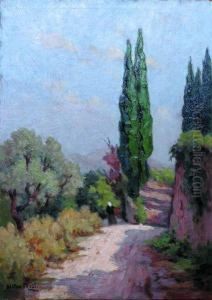 Chemin En Provence