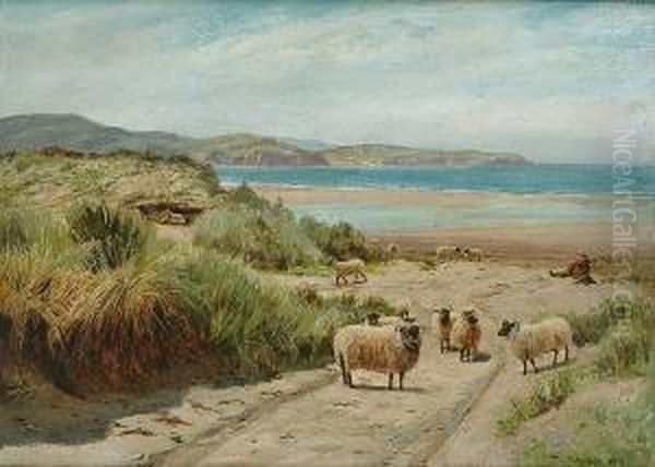Sheep In The Dunes Oil Painting by Thomas James Purchas