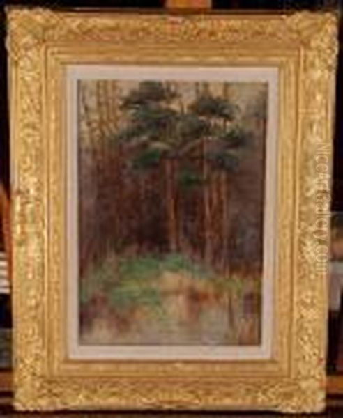 Woodland Stream Oil Painting by William Whitehead Ratcliffe
