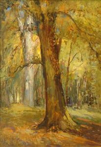 Woodland Scene Oilon Board Signed Lower Left 34cm X 24cm Oil Painting by Joseph Fred. Percy Rendell