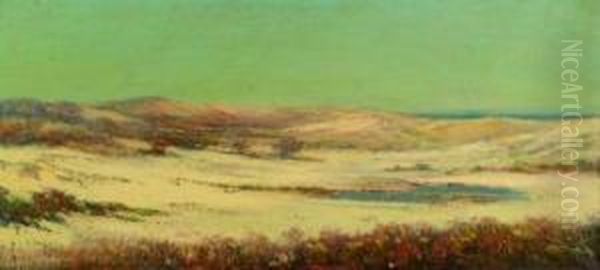 Quiet Dunes And Tidal Pool Oil Painting by Louis H. Richardson