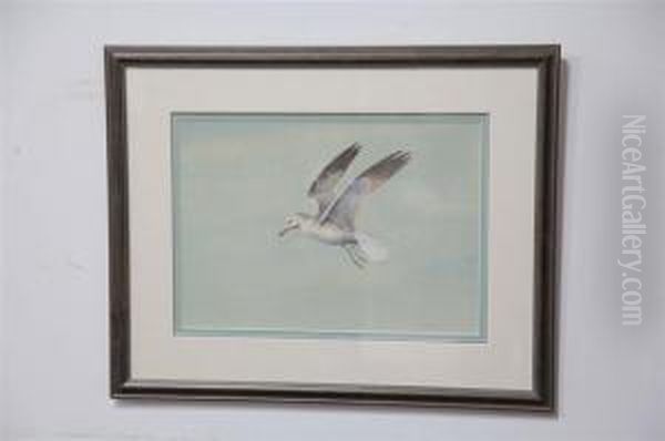 A Bird Oil Painting by Conrad Roland