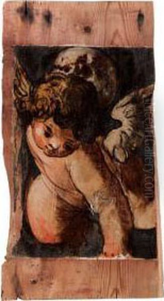 Putto In Volo Illuminato Dallaluna Oil Painting by Girolamo Romanino