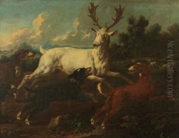 Un Daim Albinos Oil Painting by Johann Melchior Roos