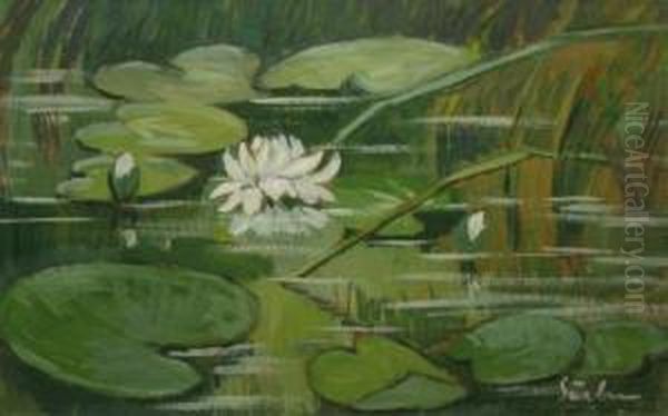 Nuferi Oil Painting by Gheorghe Sarbu