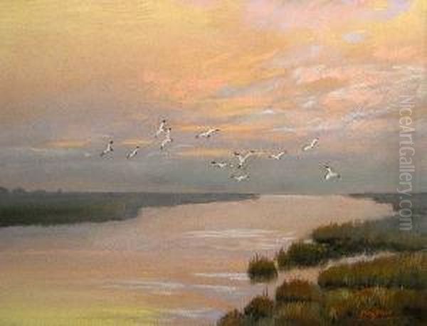 A Flock Of Seagulls Over A Marsh Oil Painting by Edwin C. Siegfried