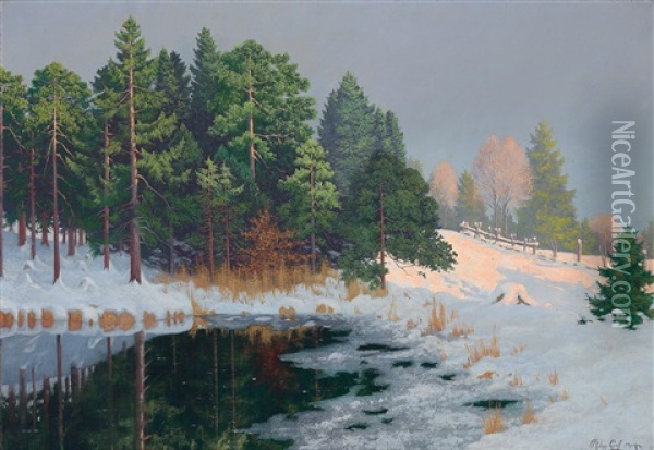 Ein Sonniger Wintertag Oil Painting - Philipp Graf