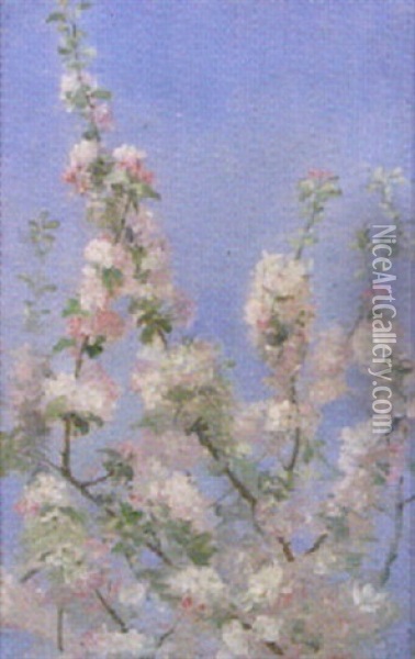 Blomstrende Grene Oil Painting - August Wilckens