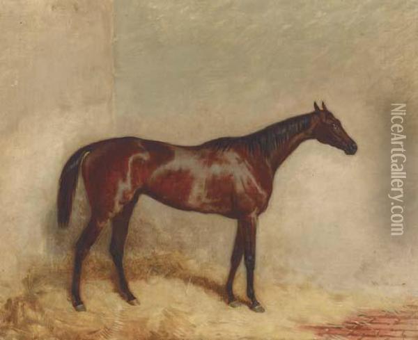 Etoile Du Nord In His Stable Oil Painting - Harry Hall