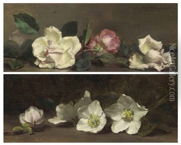 Roses (+ Anemones; Pair) Oil Painting - Alfred Frederick William Hayward