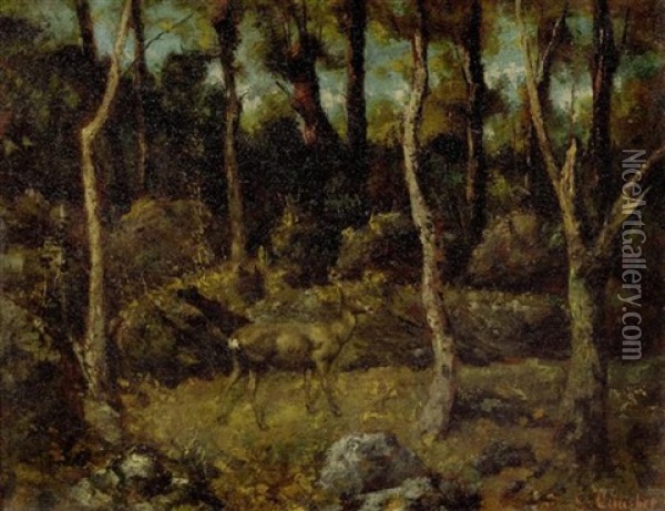 Junges Reh In Einem Wald Oil Painting - Cherubino Pata