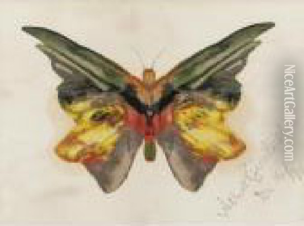 Butterfly Oil Painting - Albert Bierstadt