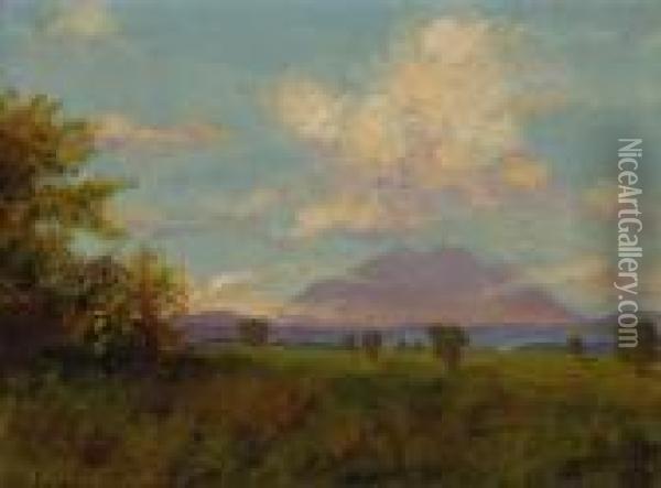 Mt. Diablo From Antioch Oil Painting - Charles Robinson