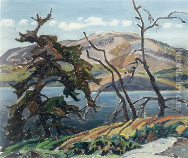 Mcgregor Bay Oil Painting - Franklin Carmichael
