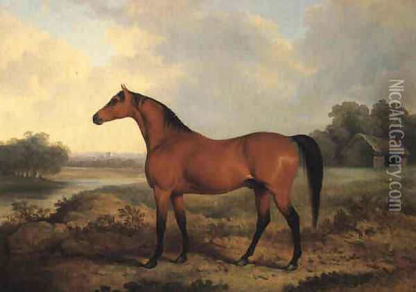 A bay stallion in a river landscape 1827 Oil Painting - James Barenger