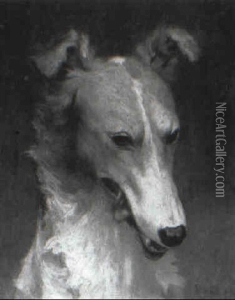 Head Of A Borzoi, Russian Wolf-hound Oil Painting - Percival Leonard Rosseau