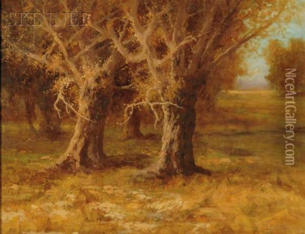 Brother Oaks Oil Painting - Ralph Davidson Miller